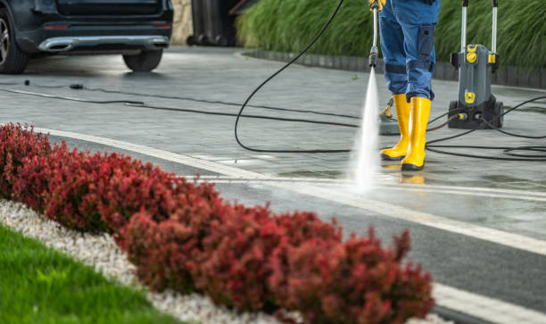 Best Playground Equipment Cleaning  in Dogtown, CA